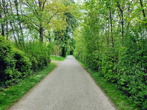 Auf dem Rundwanderweg Wuppertal zwischen Vohwinkel und Katernberg