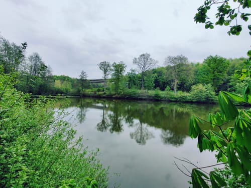 Auf dem Rundwanderweg Wuppertal zwischen Vohwinkel und Katernberg