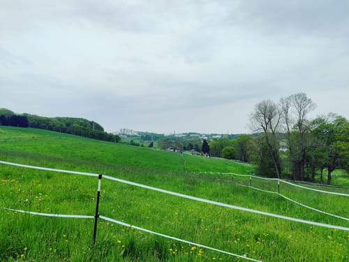 Auf dem Rundwanderweg Wuppertal zwischen Vohwinkel und Katernberg