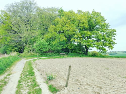 Auf dem Rundwanderweg Wuppertal zwischen Vohwinkel und Katernberg