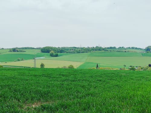 Auf dem Rundwanderweg Wuppertal zwischen Vohwinkel und Katernberg