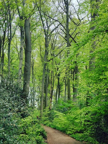 Auf dem Rundwanderweg Wuppertal zwischen Vohwinkel und Katernberg