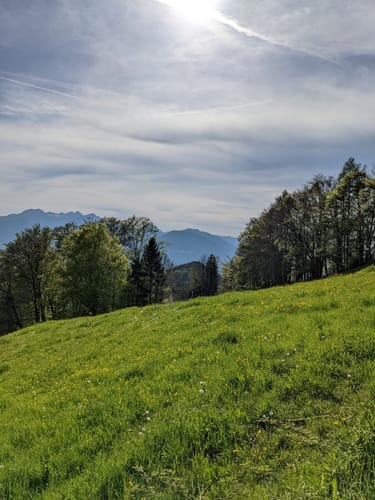 Dandlbergalm Rundweg