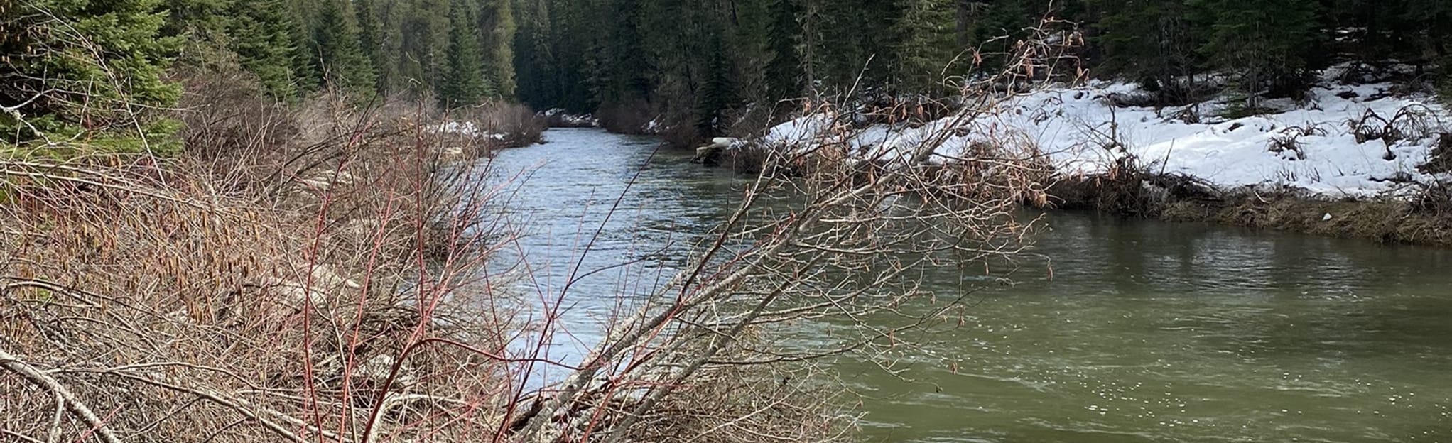 Potlatch Canyon Trail, Idaho 108 Reviews, Map AllTrails