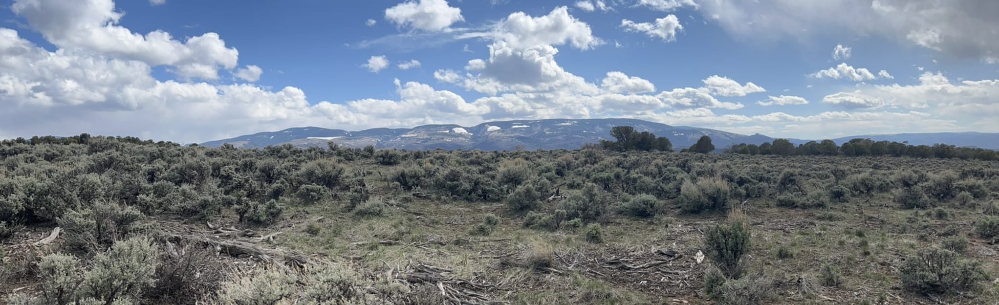 Boneyard Trail, Colorado 54 Reviews, Map AllTrails