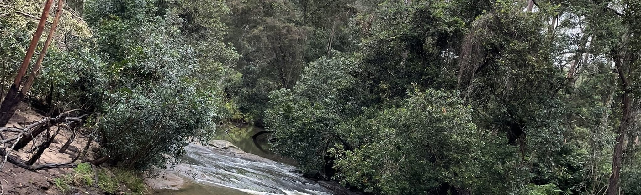 Wheeny Pool via McMahons Trail, New South Wales, Australia 10 Reviews