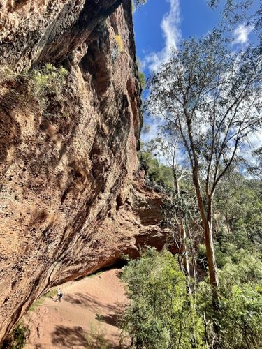 Paradise Falls - Victoria's High Country