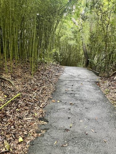 Mount Whitfield Conservation Park Parking