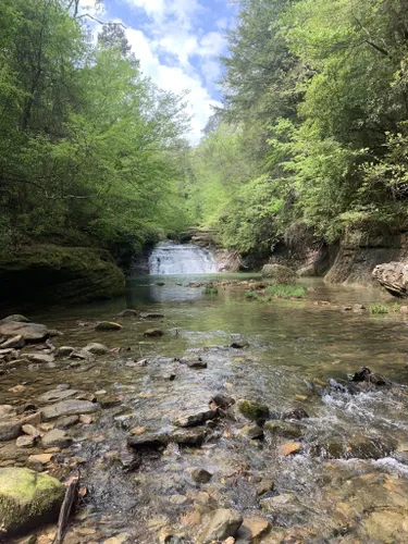 Best Waterfall Trails In William B Bankhead National Forest | AllTrails