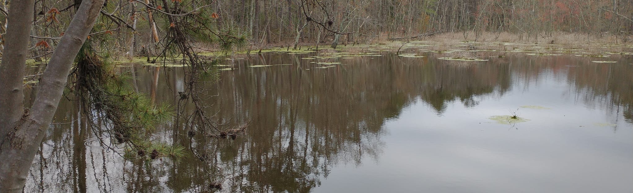 Piney Hollow Preservation and Unexpected Road 15 Reviews, Map New