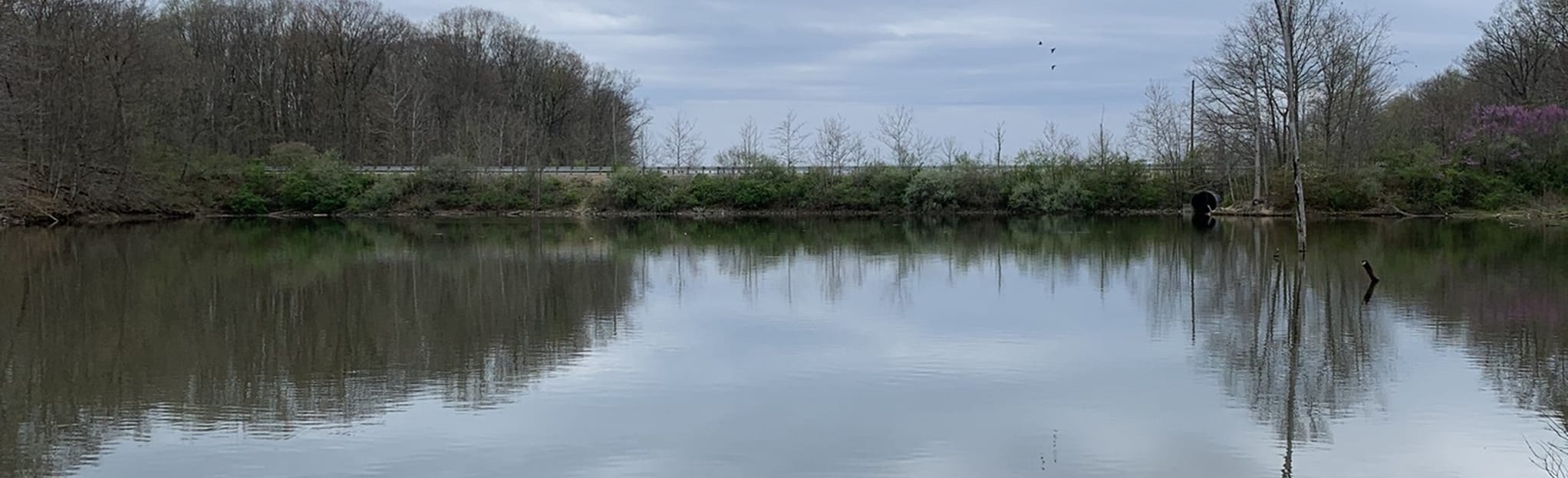 Alum Creek State Park Mountain Bike Trail Phase 1 Map, Guide Ohio