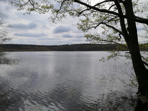 Seenrundwanderung bei Kobrow