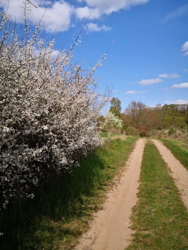 Seenrundwanderung bei Kobrow