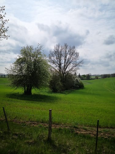 Seenrundwanderung bei Kobrow