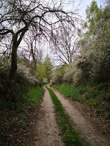 Seenrundwanderung bei Kobrow