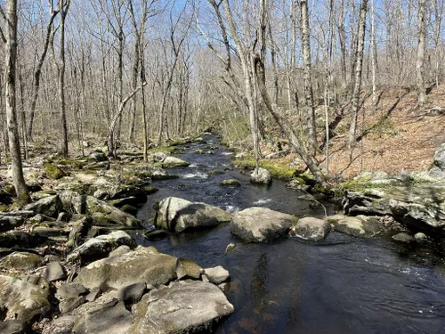 10 Best Trails and Hikes in Guilford | AllTrails