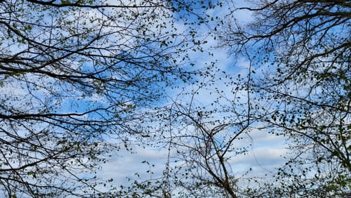 Gut Wulksfelde Rundweg