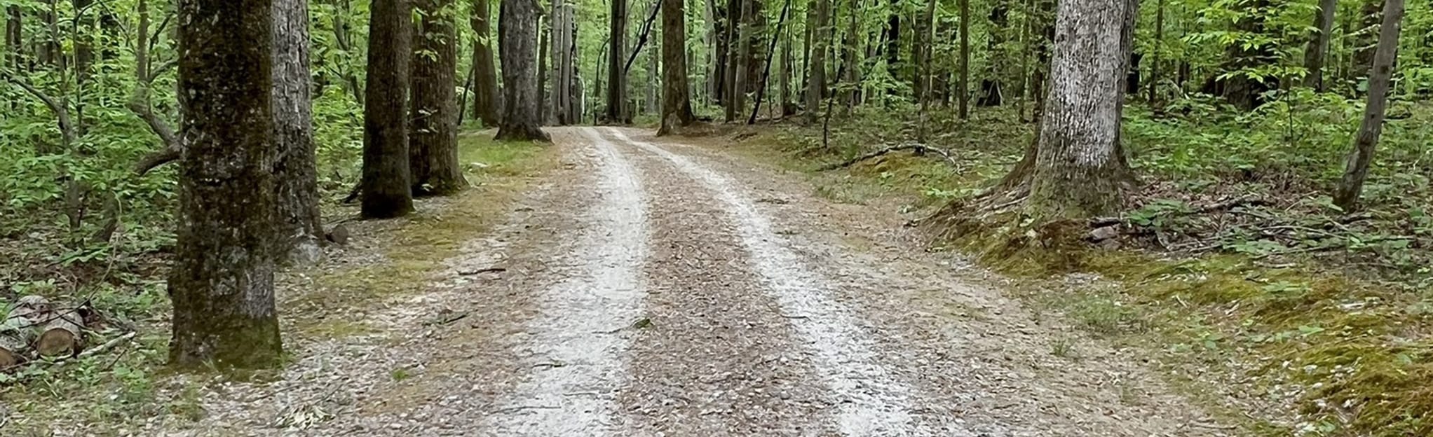 North Turkey Creek Trail 267 Reviews, Map North Carolina AllTrails