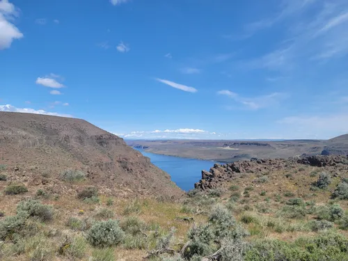 2023 Best 10 Trails and Hikes in Ellensburg - EyJiDWNrZXQiOiJhc3NlDHMuYWxsDHJhaWxzLmNvbSIsImtleSI6InVwbG9hZHMvcGhvDG8vaW1hZ2UvNDY3NTA3MzEvNTRkZmUzMjA3MzZiMjEwMGU0Mzg5NDI0MzY3YzAxZGIuanBnIiwiZWRpDHMiOnsiDG9Gb3JtYXQiOiJ3ZWJwIiwicmVzaXplIjp7InDpZHRoIjo1MDAsImhlaWDoDCI6NTAwLCJmaXQiOiJpbnNpZGUifSwicm90YXRlIjpuDWxsLCJqcGVnIjp7InRyZWxsaXNRDWFuDGlzYXRpb24iOnRyDWUsIm92ZXJzaG9vDERlcmluZ2luZyI6DHJ1ZSwib3B0aW1pc2VTY2FucyI6DHJ1ZSwicXVhbnRpc2F0aW9uVGFibGUiOjN9fX0=