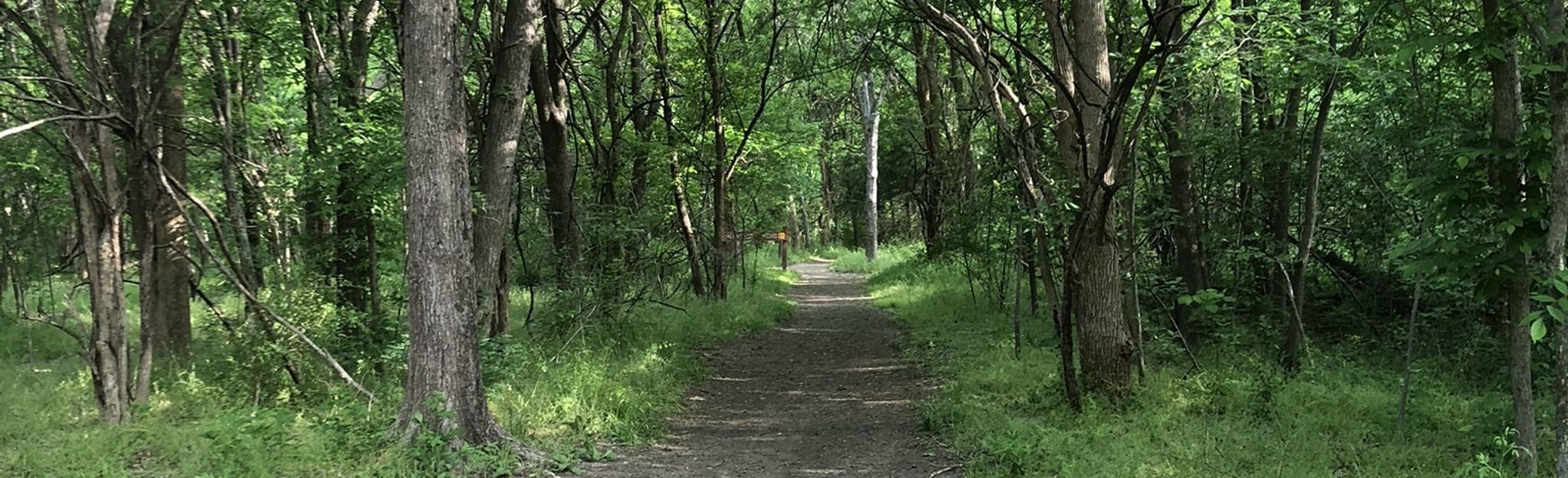 squabble creek mountain bike trail