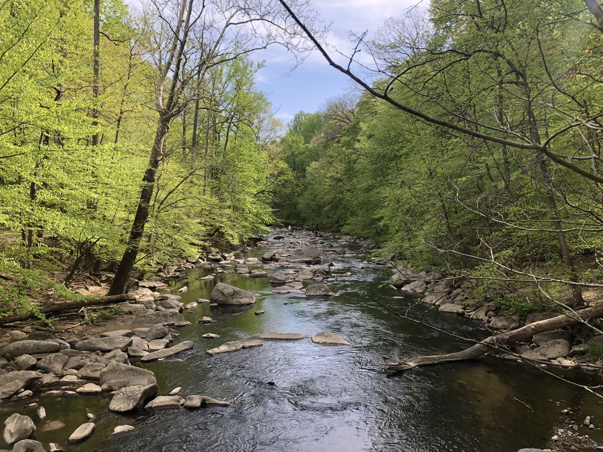 Rock Creek Park scenery 1