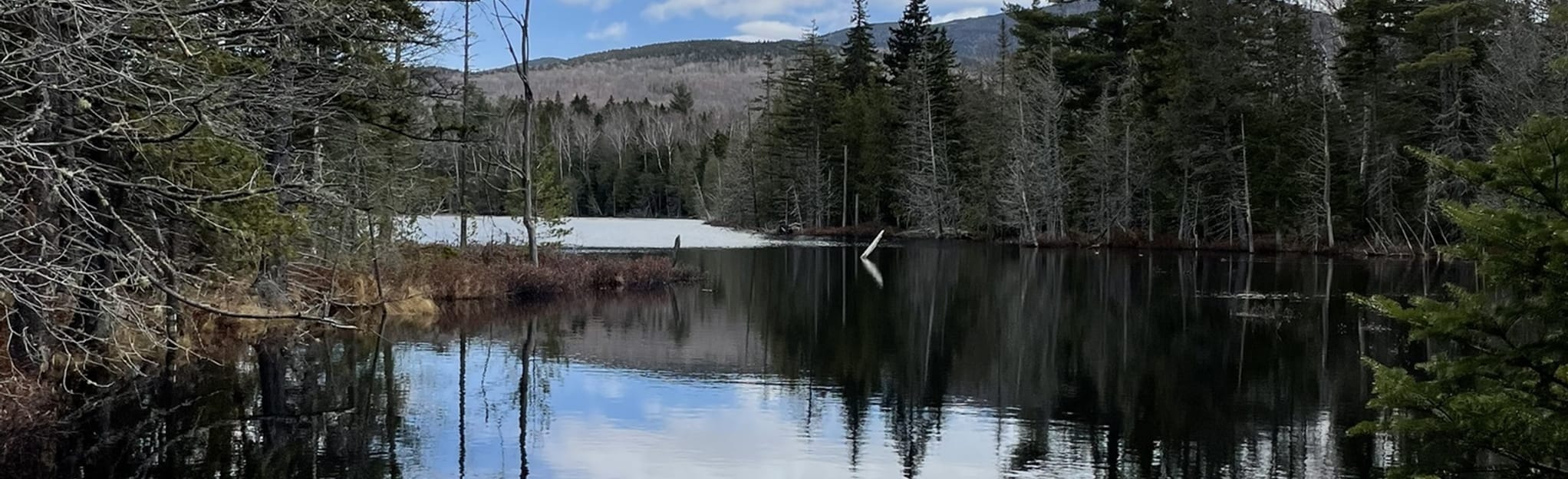 Moose Pond Loop Maine AllTrails