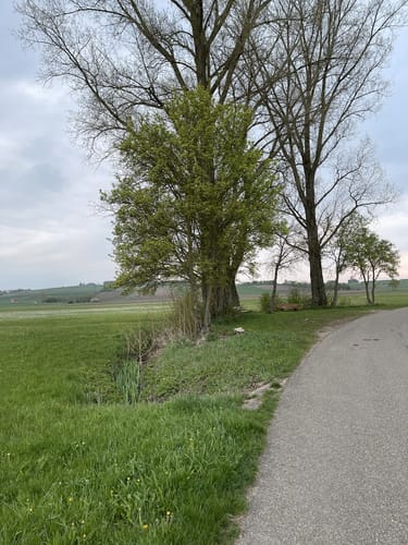 Rund um den Hesselberg