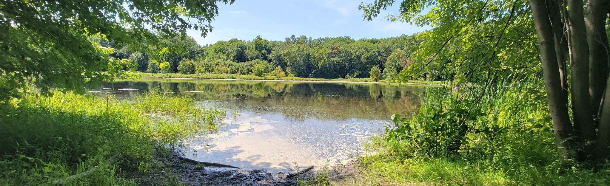 Vanderwater Conservation Area Red Trail, Ontario, Canada 79 Reviews