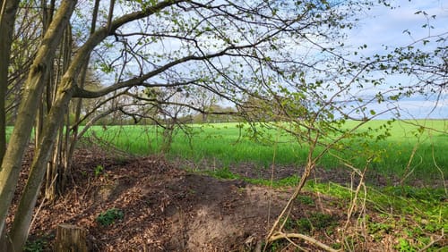 Gut Wulksfelde Rundweg