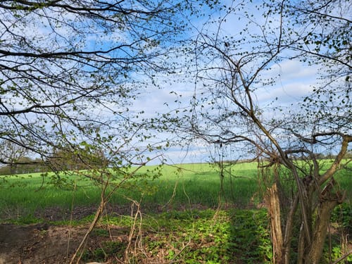 Gut Wulksfelde Rundweg