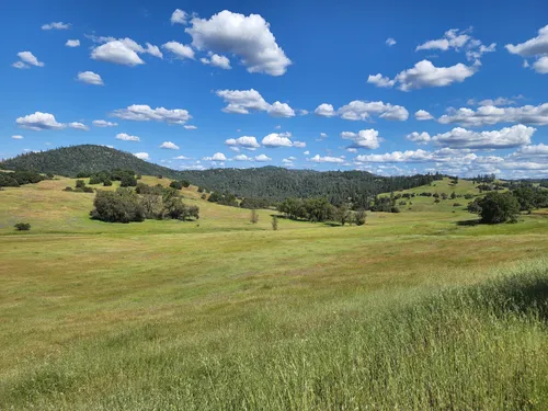 10 Best Hikes and Trails in Cronan Ranch Regional Trails Park | AllTrails