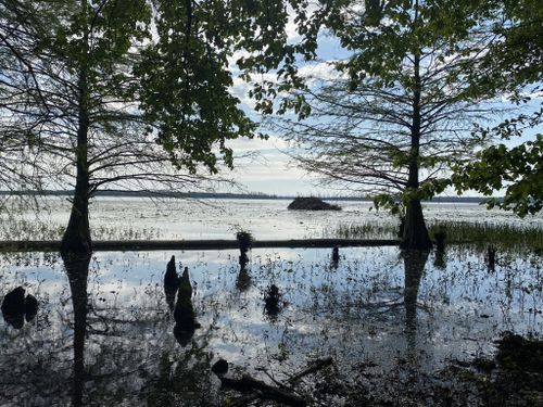 Reelfoot Lake - Wikipedia