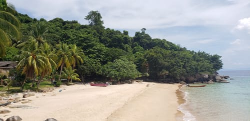 2023 Best Beach Trails in Kuala Besut AllTrails