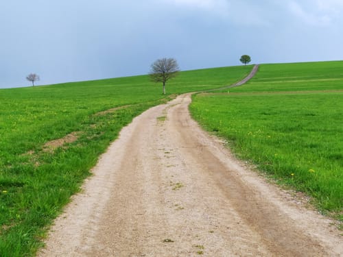 Polenstein und Tannenboden