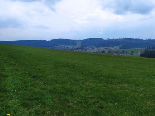 Polenstein und Tannenboden