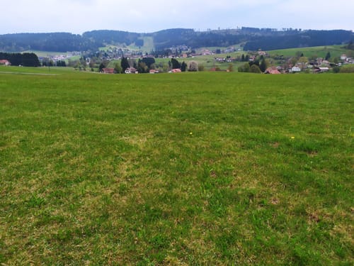 Polenstein und Tannenboden