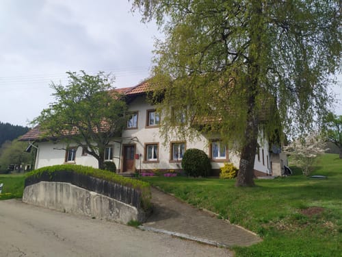 Polenstein und Tannenboden