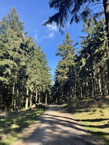Großen Feldberg