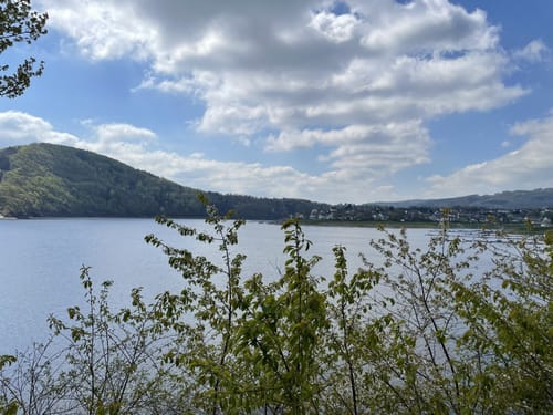 MTB Tour: Vogelsang - Rurtalsperre - Einruhr