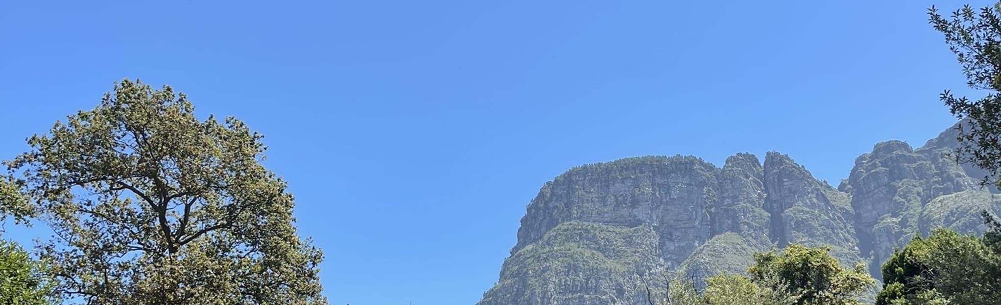 Fernwood Track to Contour Path, Western Cape, South Africa 184 Reviews, Map AllTrails