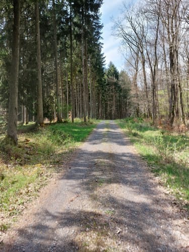 Rund um Hinterhausen