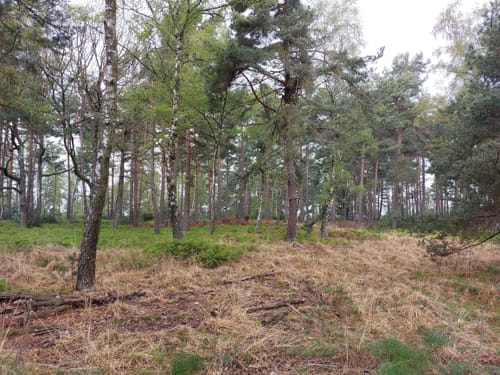 Hergarten Jägerpfad