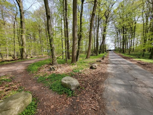 Strande und Leuchtturm Bülk ab Schilksee