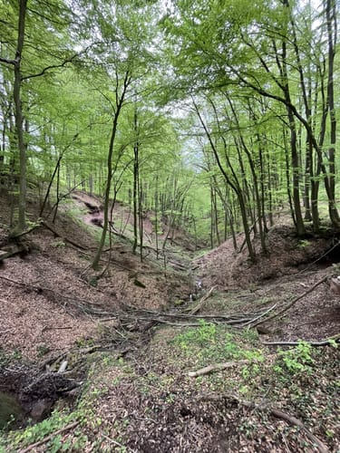 Oppig-Grät-Weg (Traumschleife)