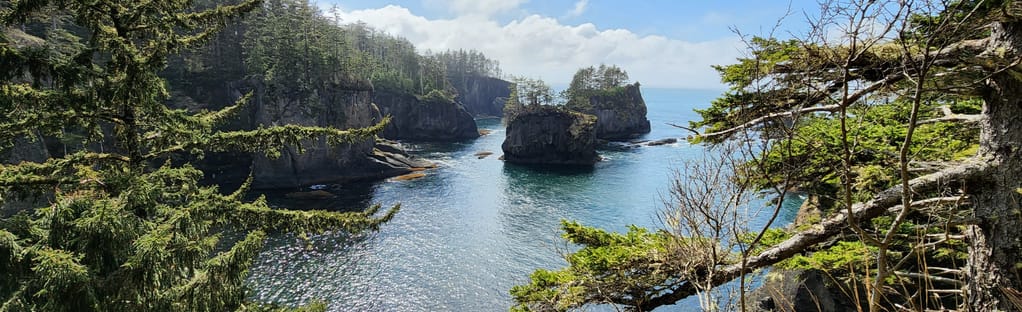 Cape Flattery Trail: 1509 Reviews, Map - Washington | AllTrails