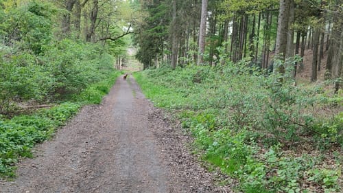 Rund um Holtwick - Wanderweg A1
