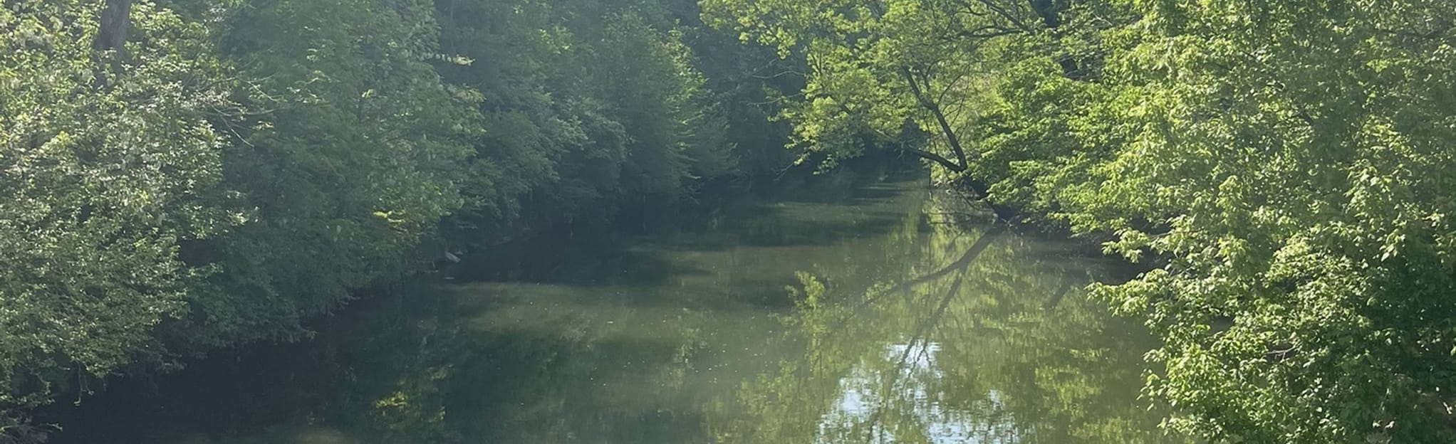 Mill Creek Park Greenway Map, Guide Tennessee AllTrails