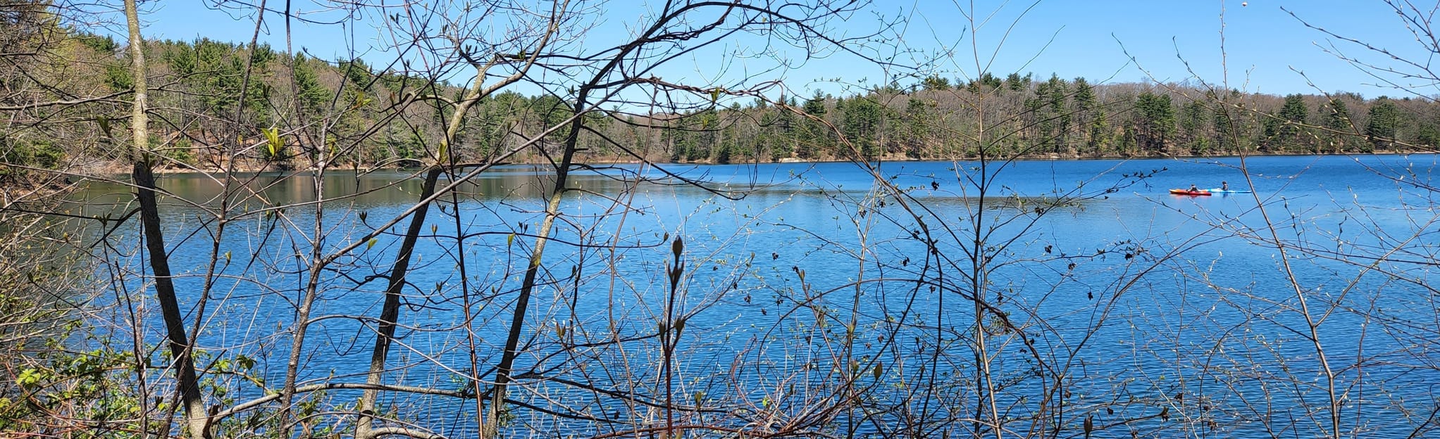 Red, Kettlehole, Adams WoodsMt. Misery, Kettle, and Bay Circuit Trail
