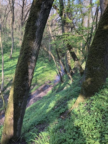 Wanderung Kühlbach