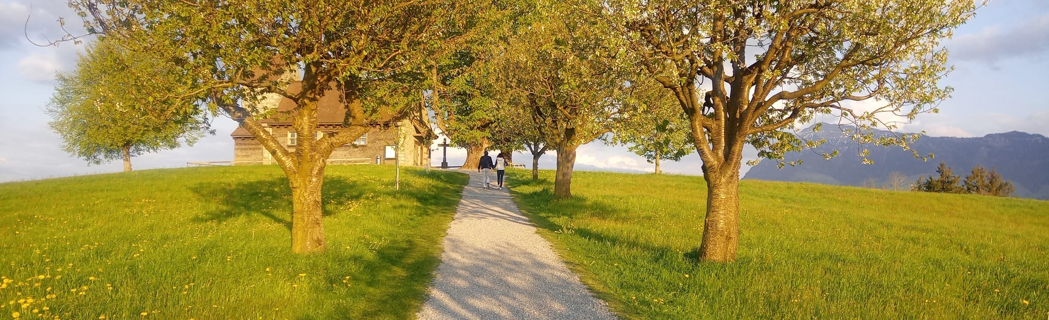 Rotkreuz - Michaelskreuz: 7 Reviews, Map - Zug, Switzerland | AllTrails